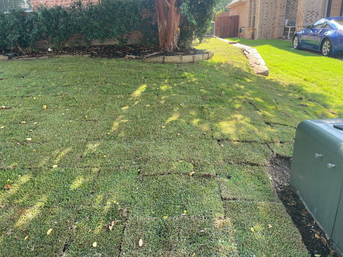 How Often Should You Mow Your Lawn After Installing&nbsp;Sod?